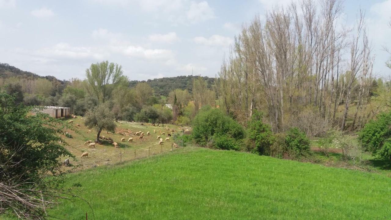 Casa Rural El Jardin Del Hueznar San Nicolás del Puerto エクステリア 写真